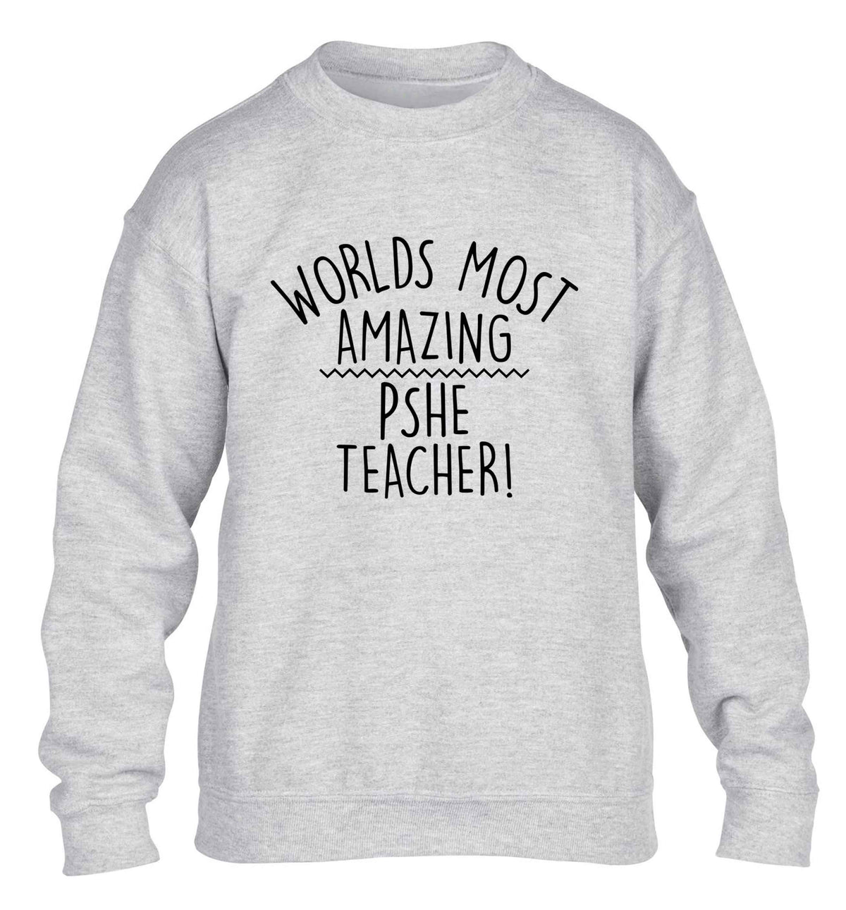 Worlds most amazing PHSE teacher children's grey sweater 12-13 Years