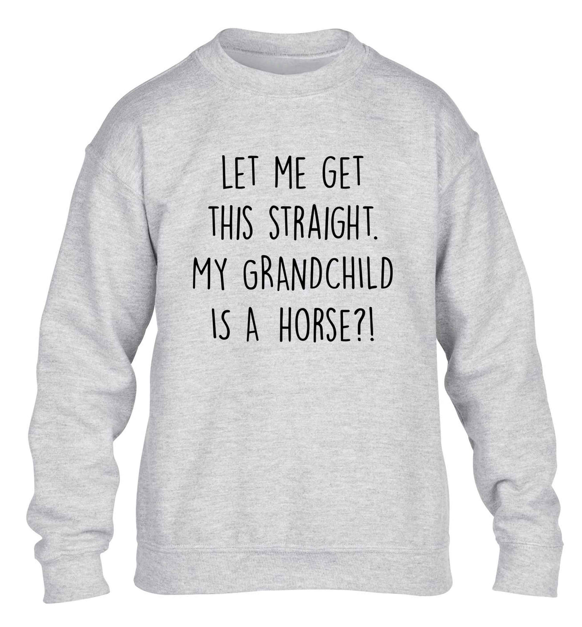 Let me get this straight, my grandchild is a horse?! children's grey sweater 12-13 Years