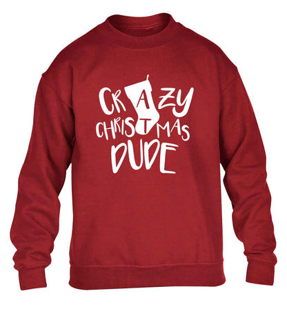 Crazy Christmas Dude children's grey sweater 12-13 Years