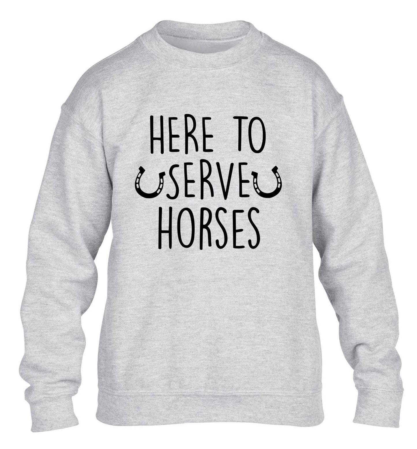 Here to serve horses children's grey sweater 12-13 Years