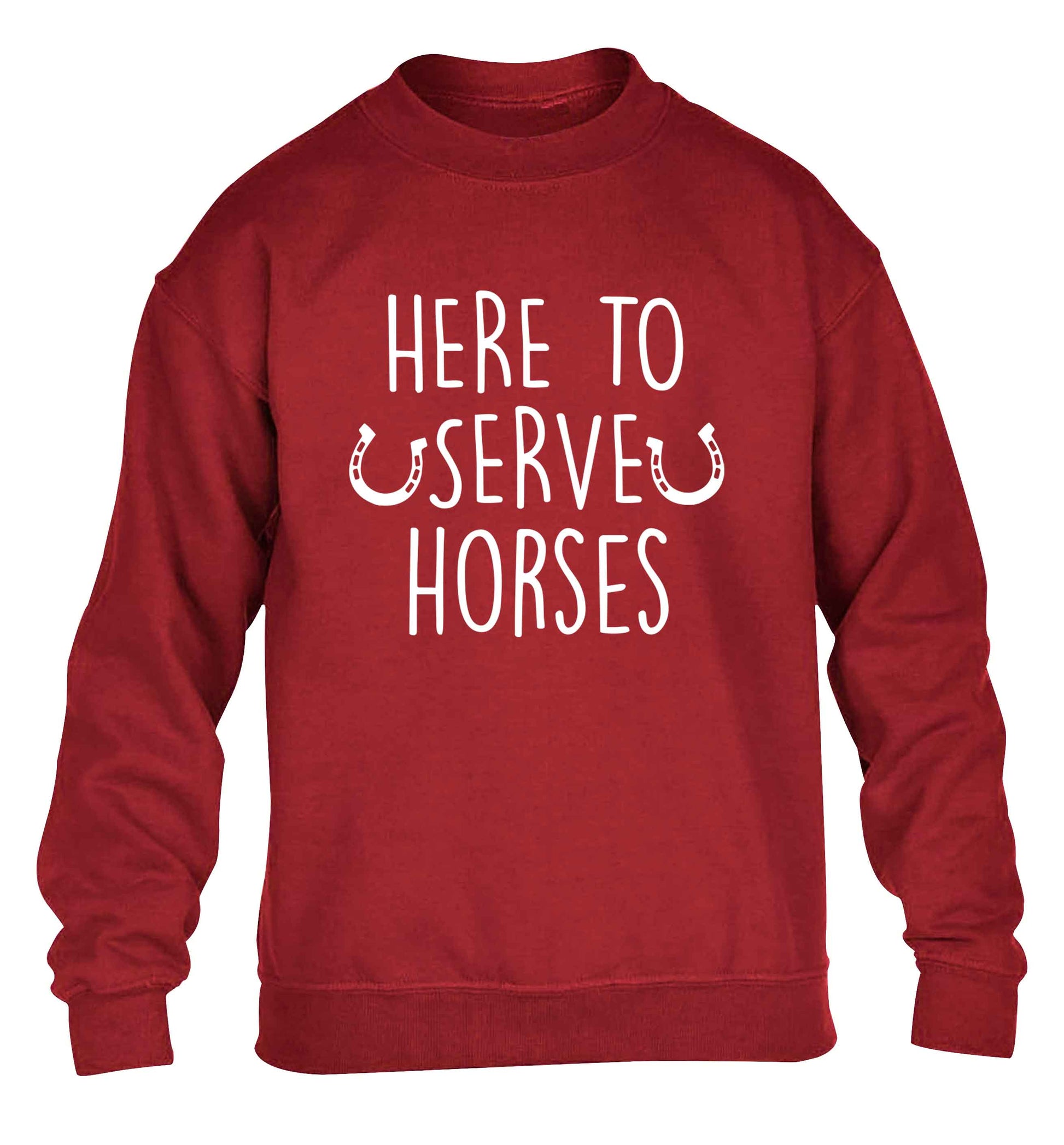 Here to serve horses children's grey sweater 12-13 Years