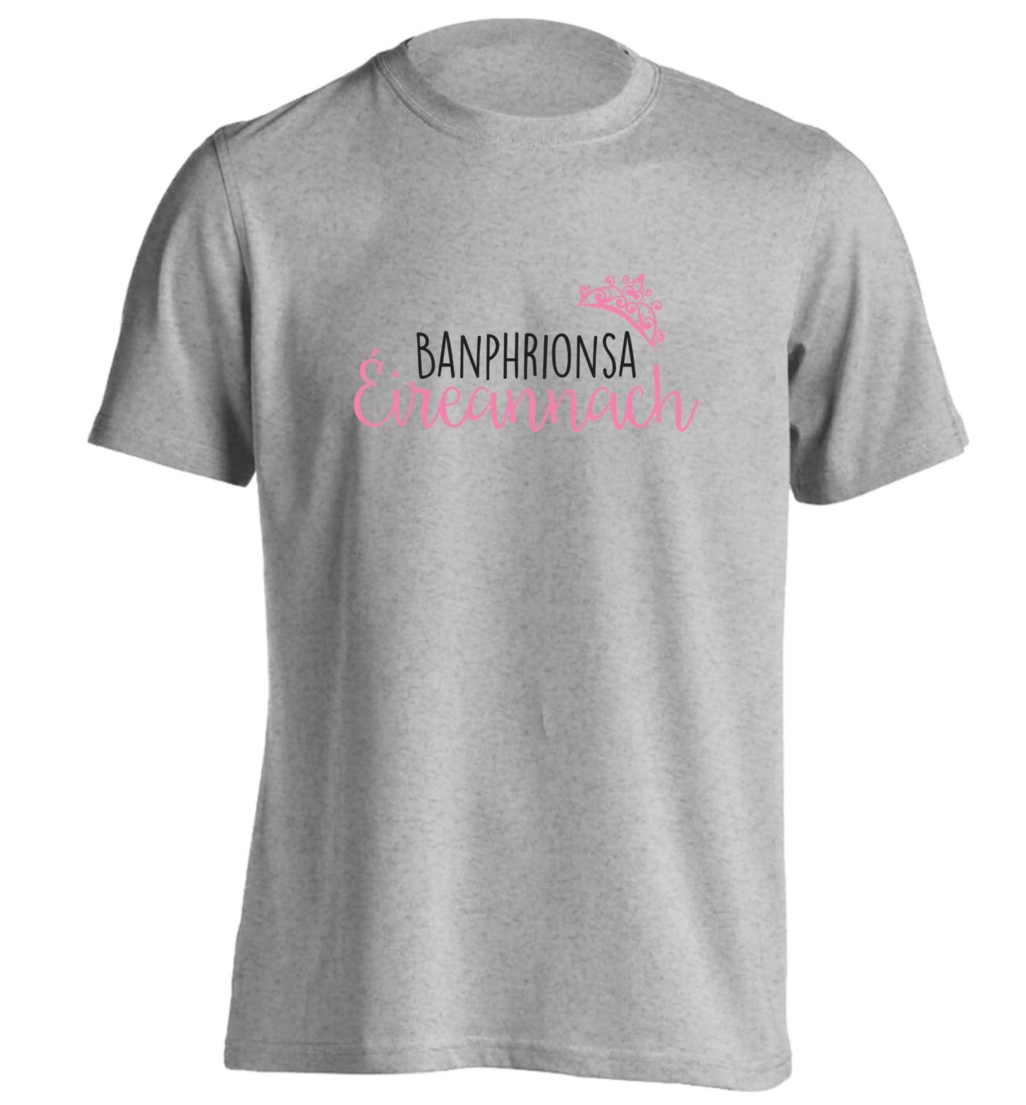 Banphrionsa eireannach adults unisex grey Tshirt 2XL