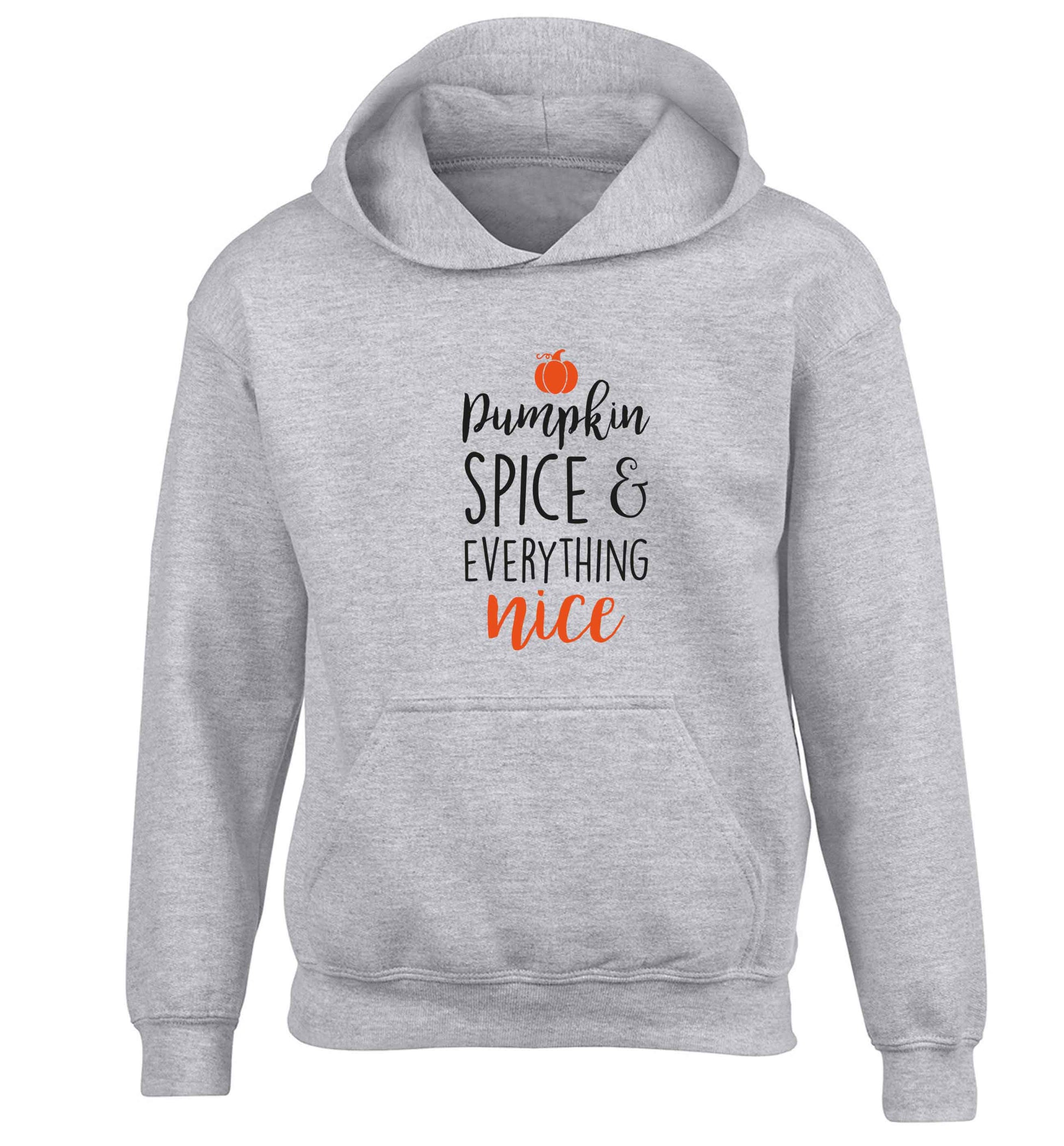Pumpkin Spice Nice children's grey hoodie 12-13 Years