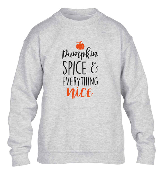 Pumpkin Spice Nice children's grey sweater 12-13 Years