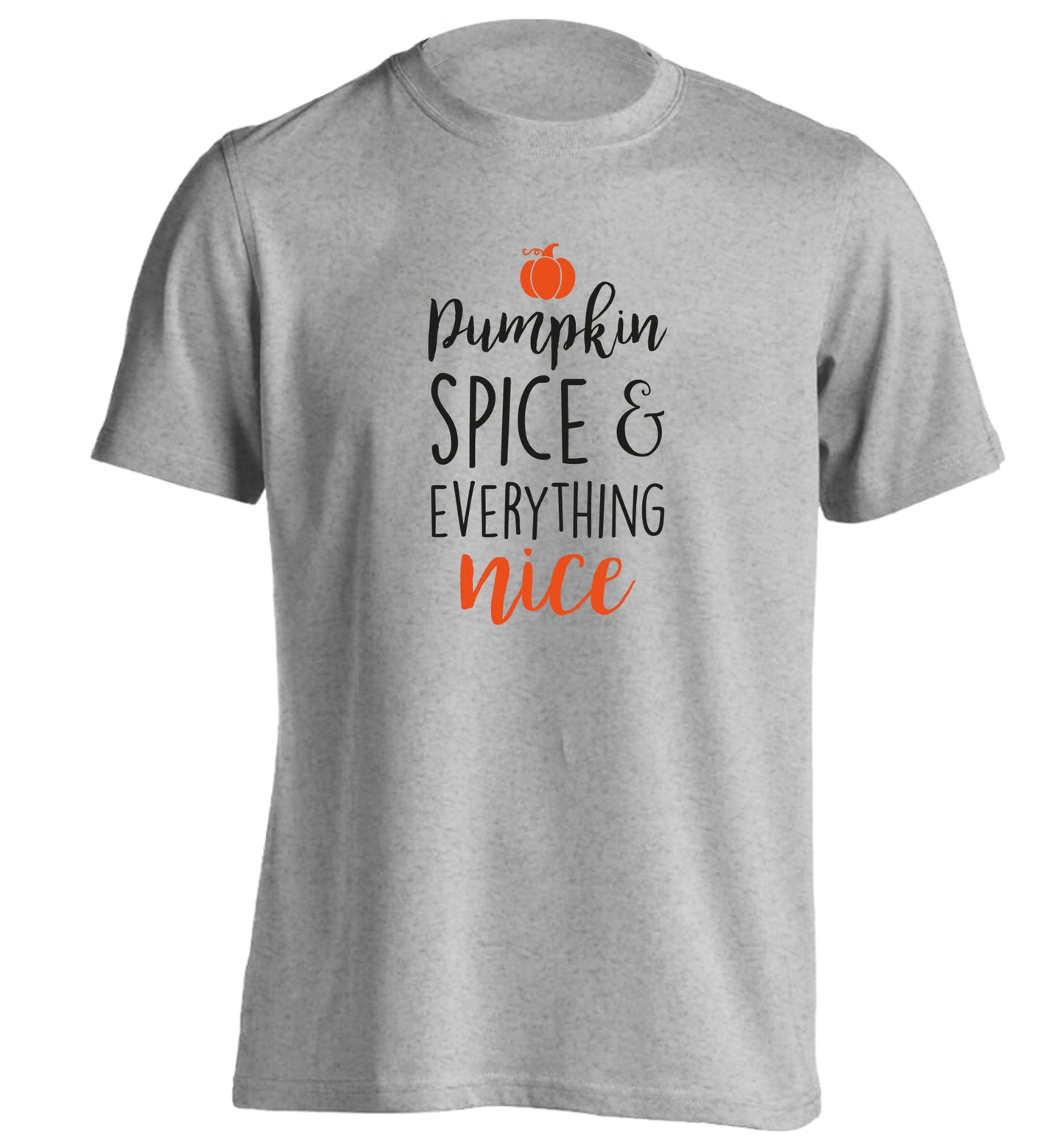 Pumpkin spice and everything nice adults unisex grey Tshirt 2XL
