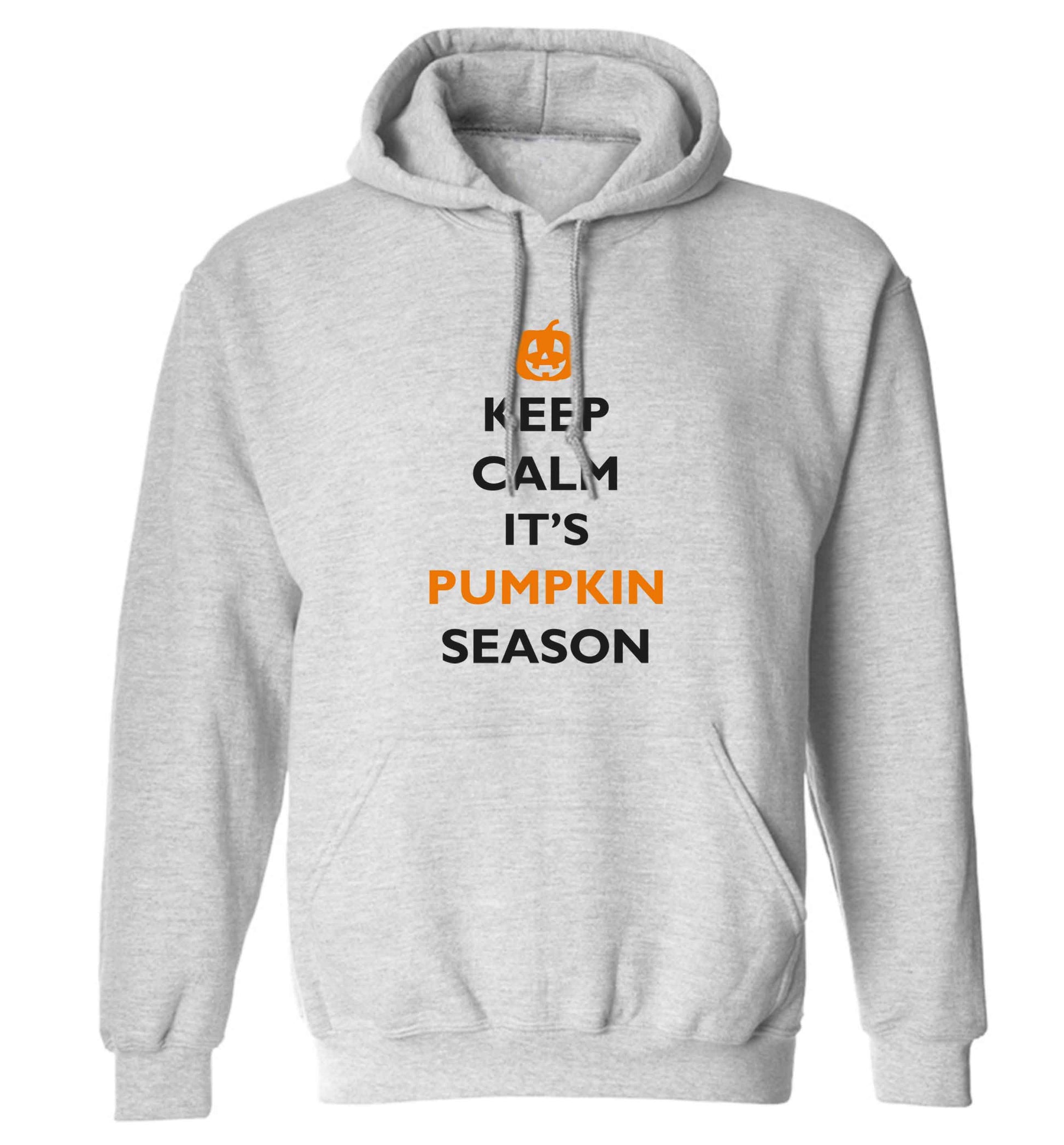 Calm Pumpkin Season adults unisex grey hoodie 2XL