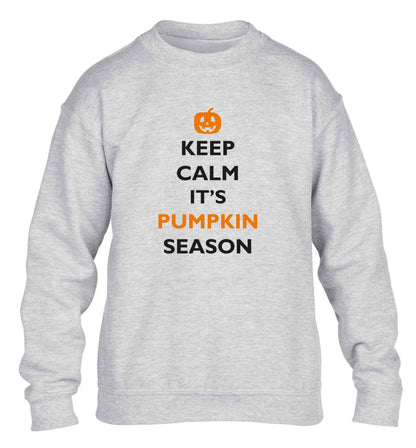 Calm Pumpkin Season children's grey sweater 12-13 Years
