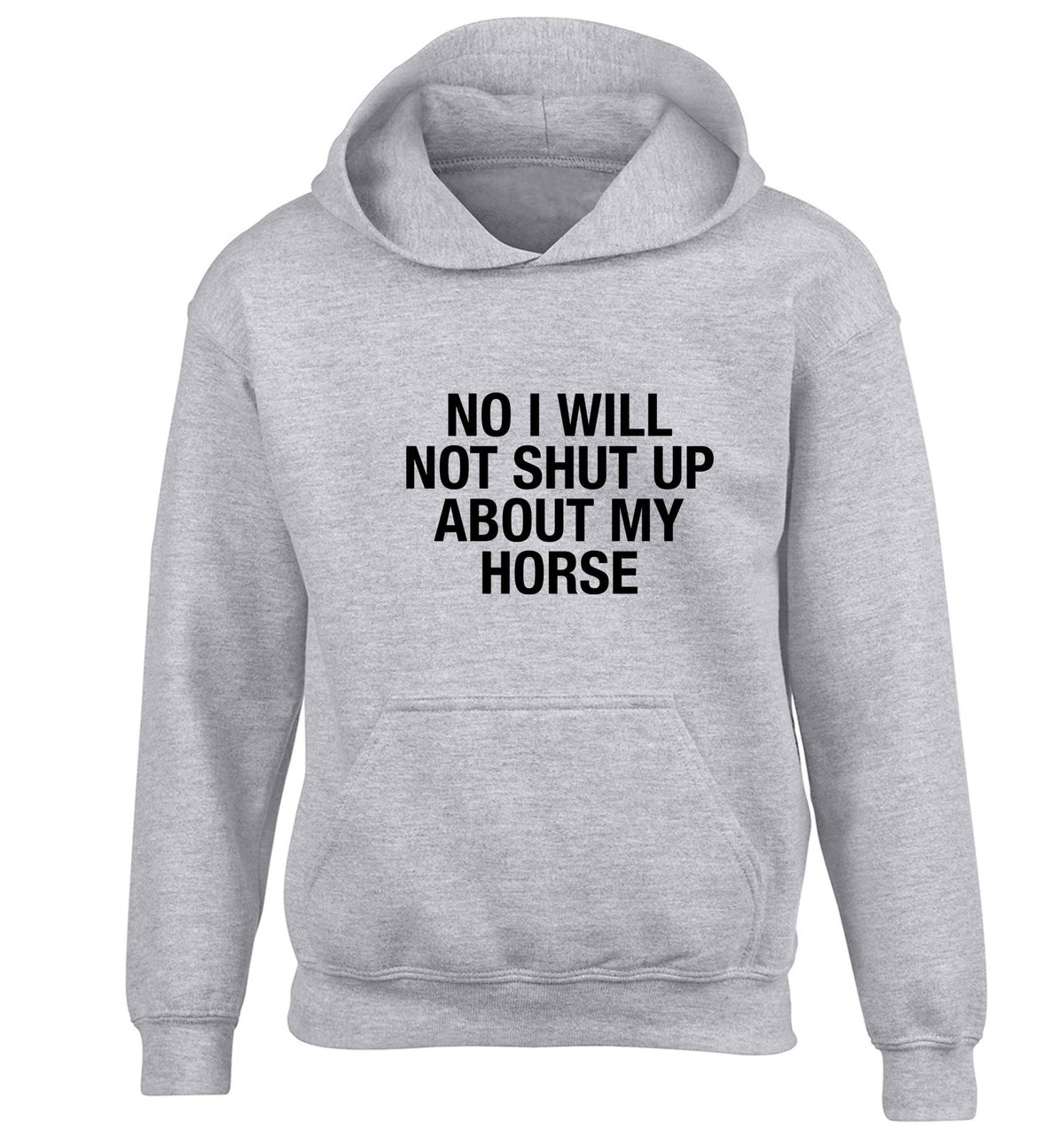 Warning may start talking about horses children's grey hoodie 12-13 Years