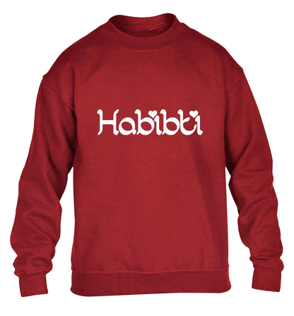 Habibiti children's grey sweater 12-13 Years