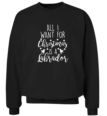All I want for Christmas is a labrador adult's unisex black sweater 2XL
