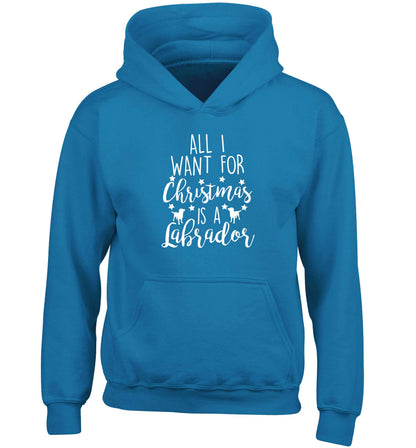 All I want for Christmas is a labrador children's blue hoodie 12-13 Years
