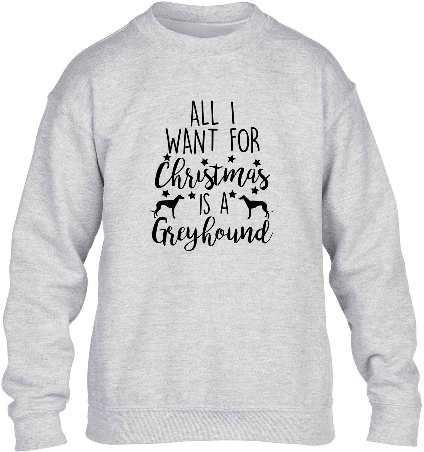 All I want for Christmas is a greyhound children's grey sweater 12-13 Years