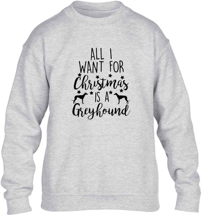All I want for Christmas is a greyhound children's grey sweater 12-13 Years