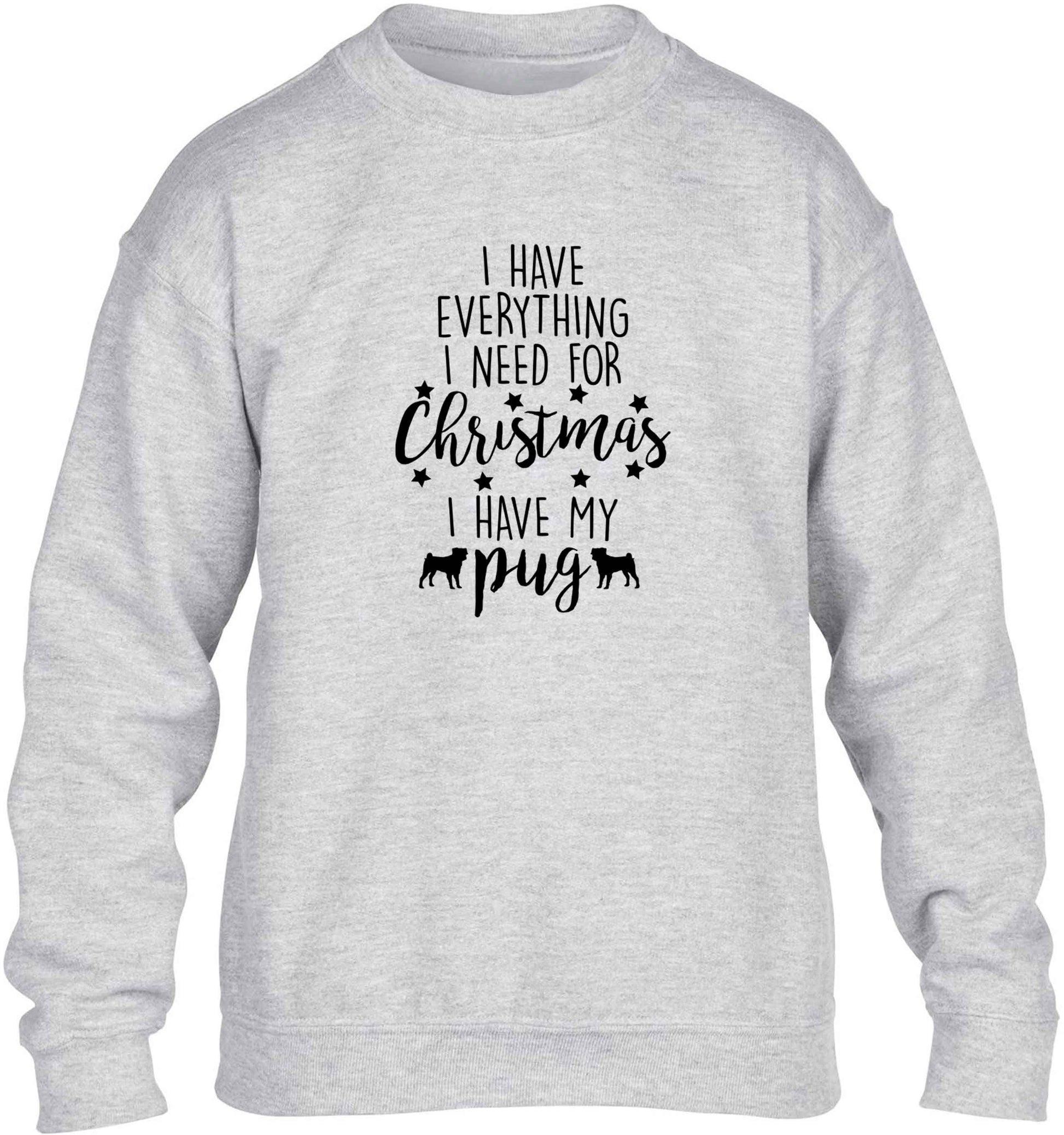 I have everything I need for Christmas I have my pug children's grey sweater 12-13 Years