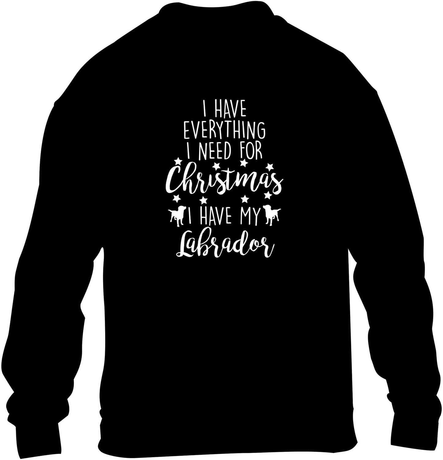 I have everything I need for Christmas I have my labrador children's black sweater 12-13 Years