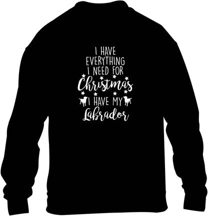 I have everything I need for Christmas I have my labrador children's black sweater 12-13 Years