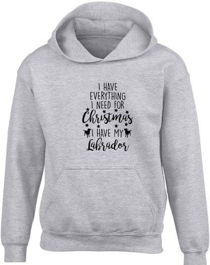 I have everything I need for Christmas I have my labrador children's grey hoodie 12-13 Years