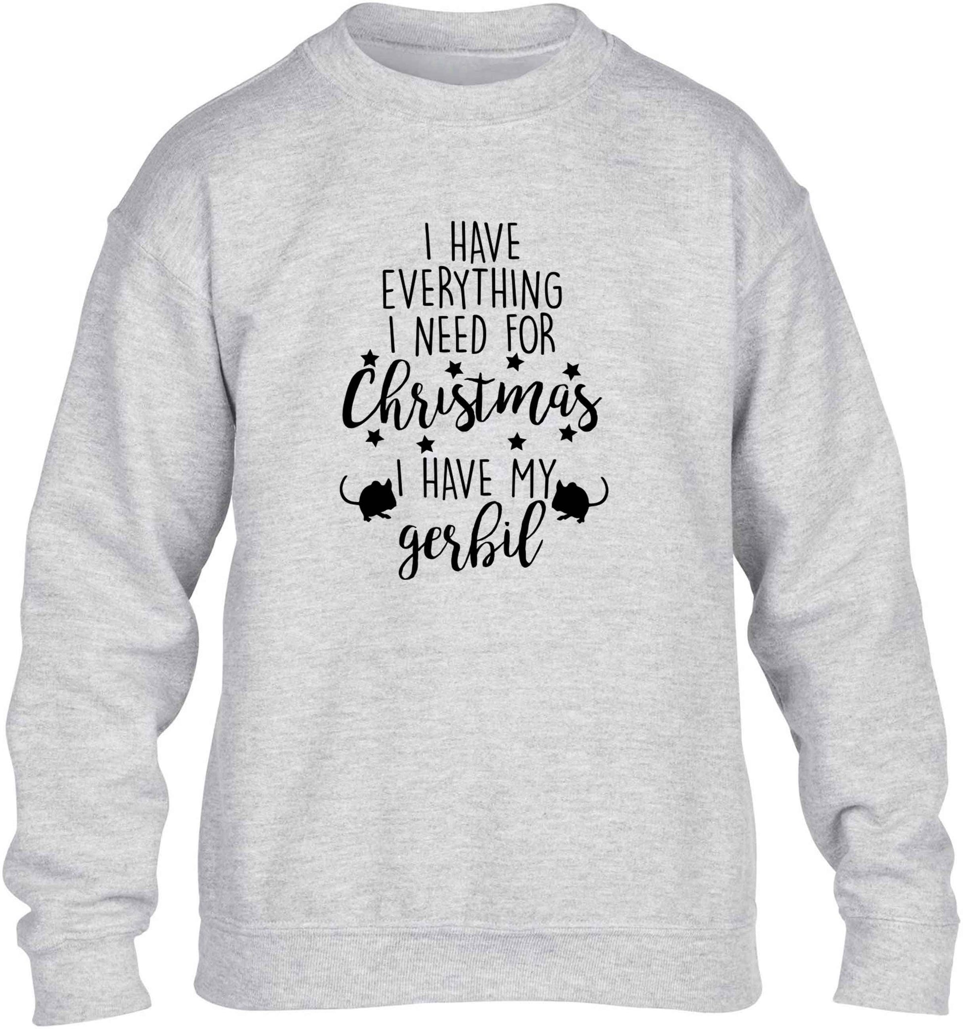I have everything I need for Christmas I have my gerbil children's grey sweater 12-13 Years