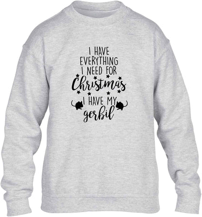 I have everything I need for Christmas I have my gerbil children's grey sweater 12-13 Years
