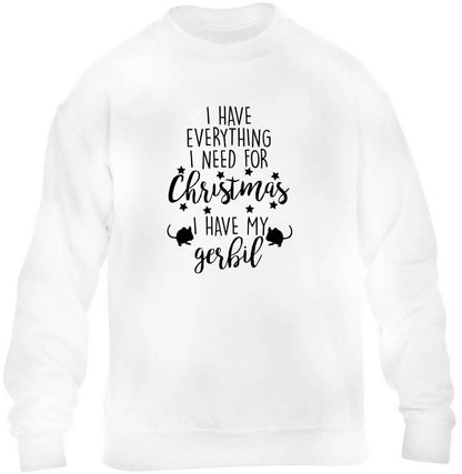 I have everything I need for Christmas I have my gerbil children's white sweater 12-13 Years