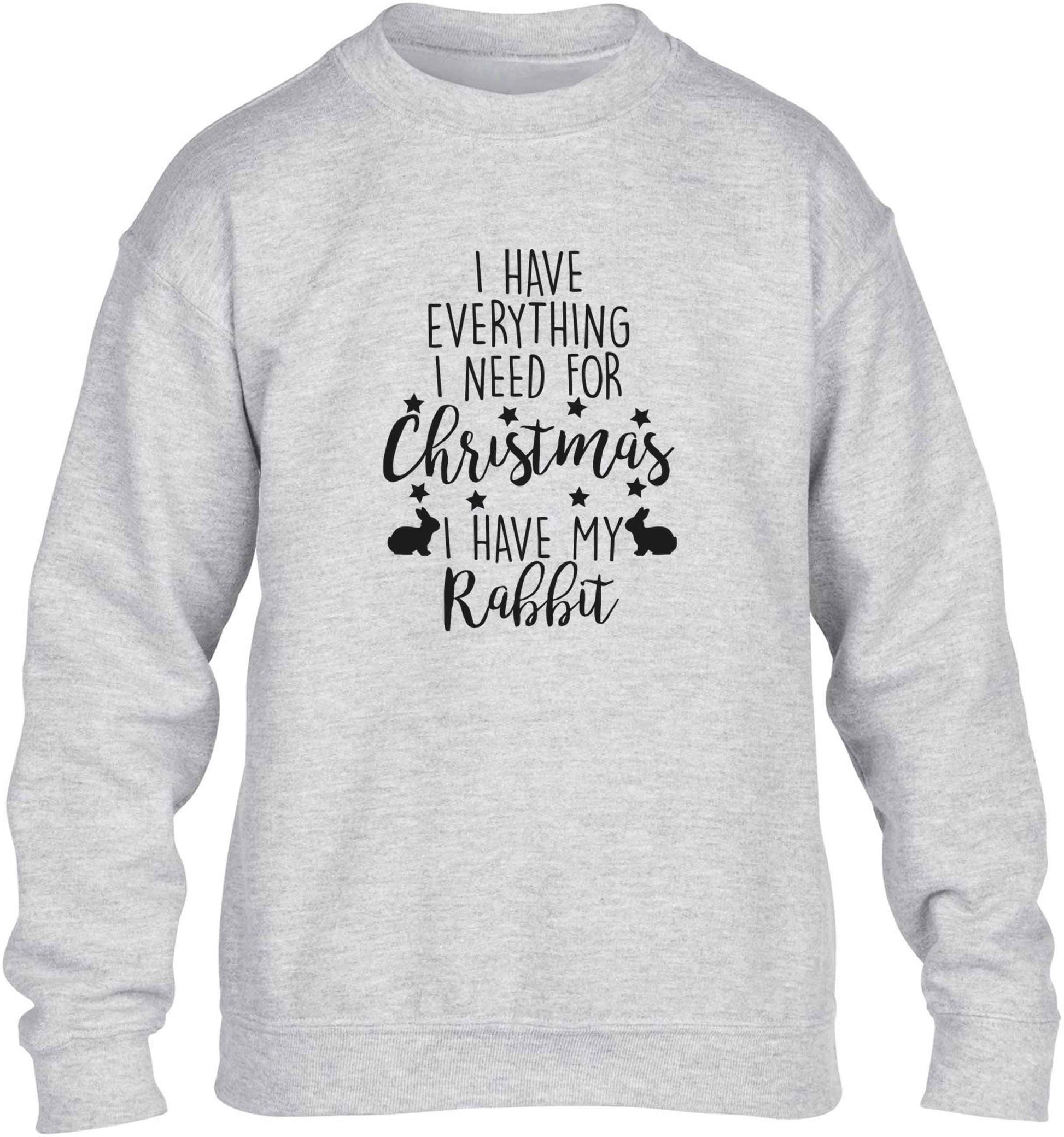 I have everything I need for Christmas I have my rabbit children's grey sweater 12-13 Years