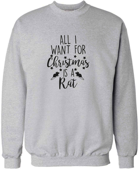 All I want for Christmas is a rat adult's unisex grey sweater 2XL