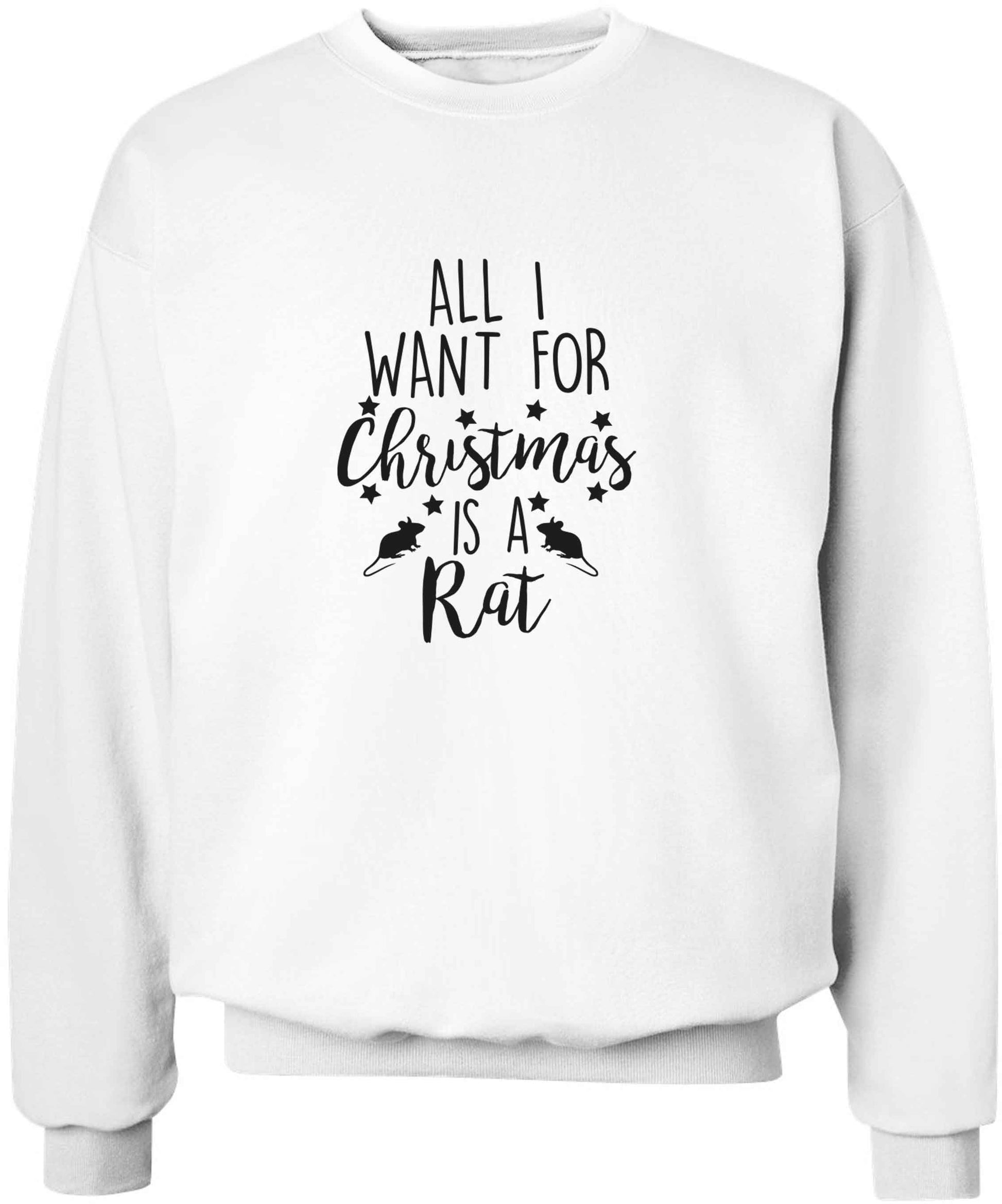 All I want for Christmas is a rat adult's unisex white sweater 2XL