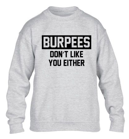 Burpees don't like you either children's grey sweater 12-14 Years