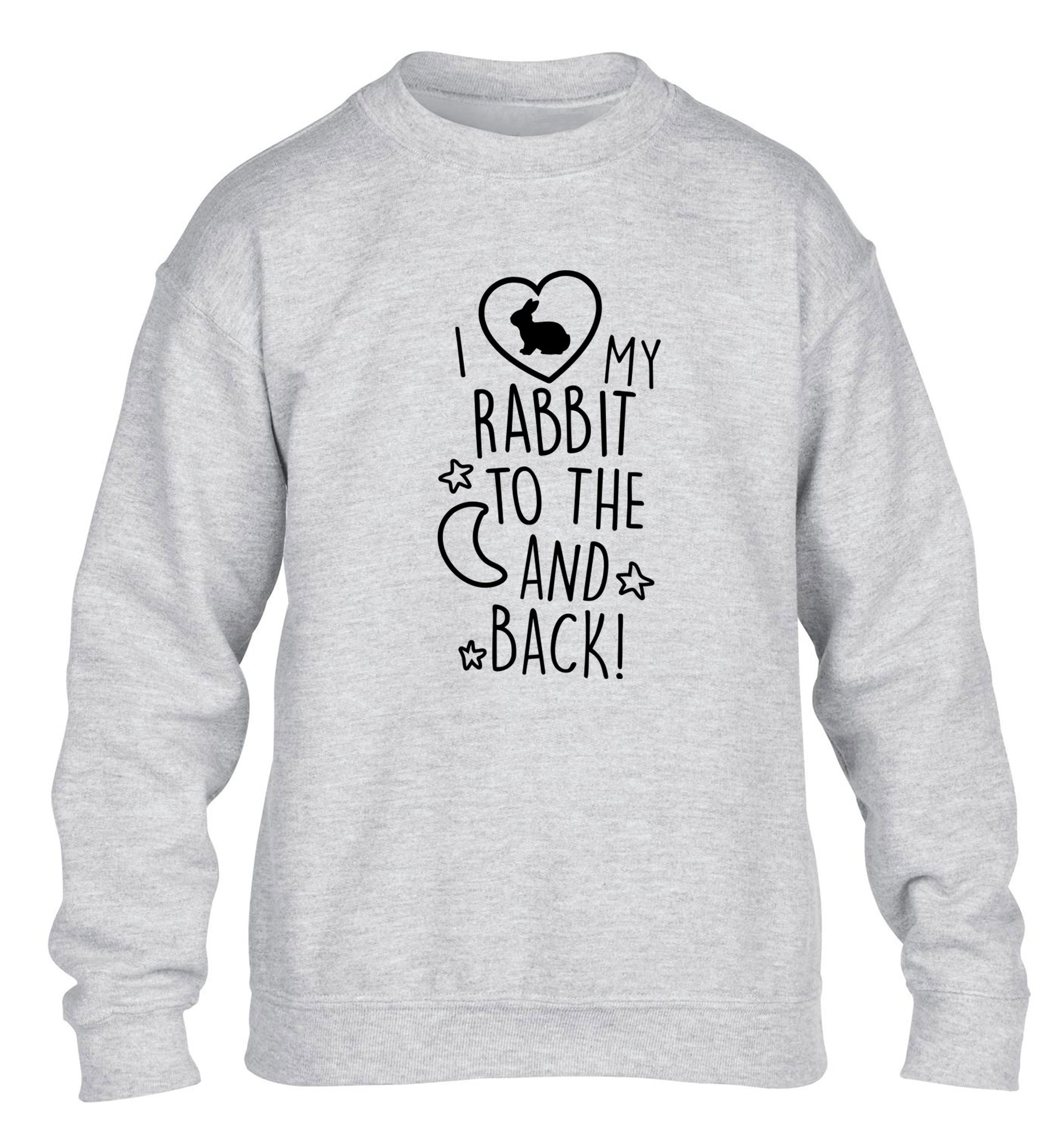 I love my rabbit to the moon and back children's grey  sweater 12-14 Years