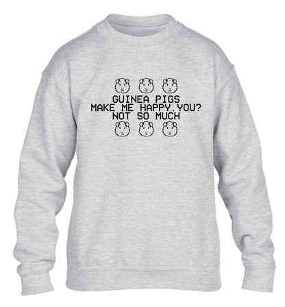Guinea pigs make me happy, you not so much children's grey  sweater 12-14 Years