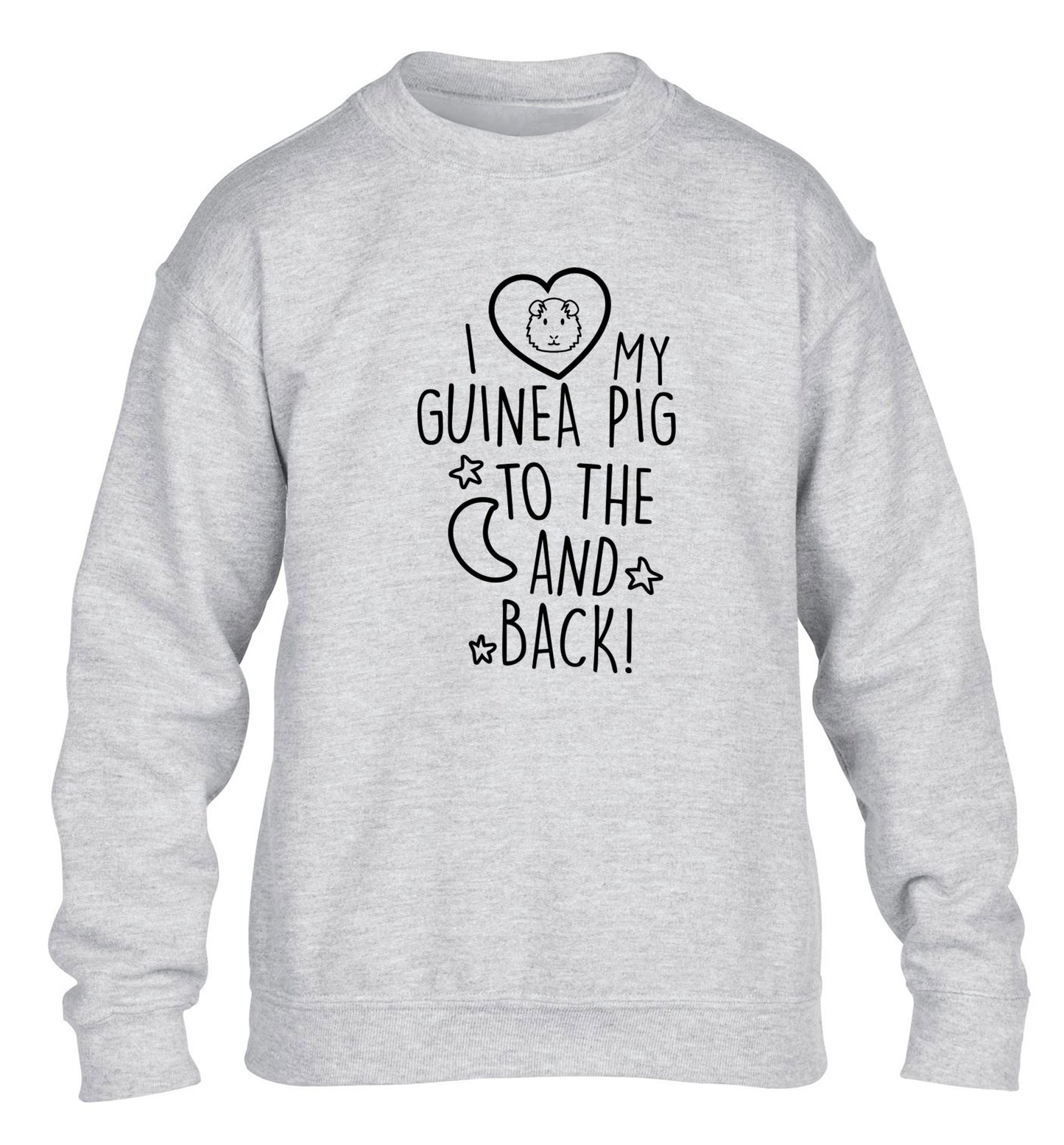 I love my guinea pig to the moon and back children's grey  sweater 12-14 Years
