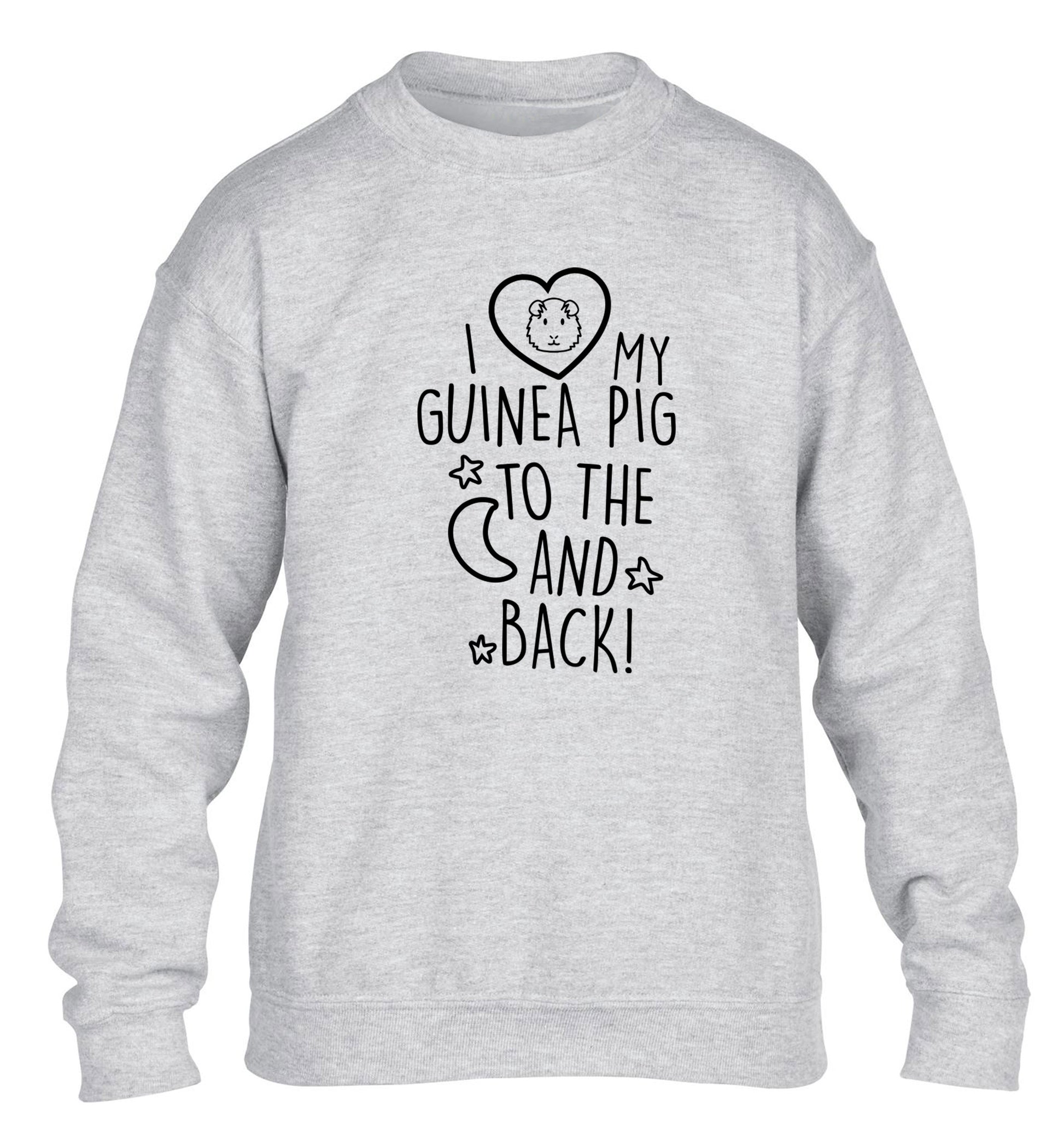I love my guinea pig to the moon and back children's grey  sweater 12-14 Years