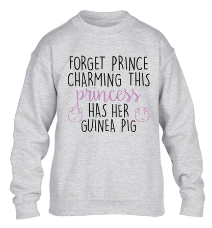 Forget prince charming, I have my guinea pig children's grey  sweater 12-14 Years
