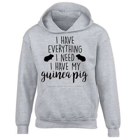 I have everything I need, I have my guinea pig children's grey hoodie 12-14 Years