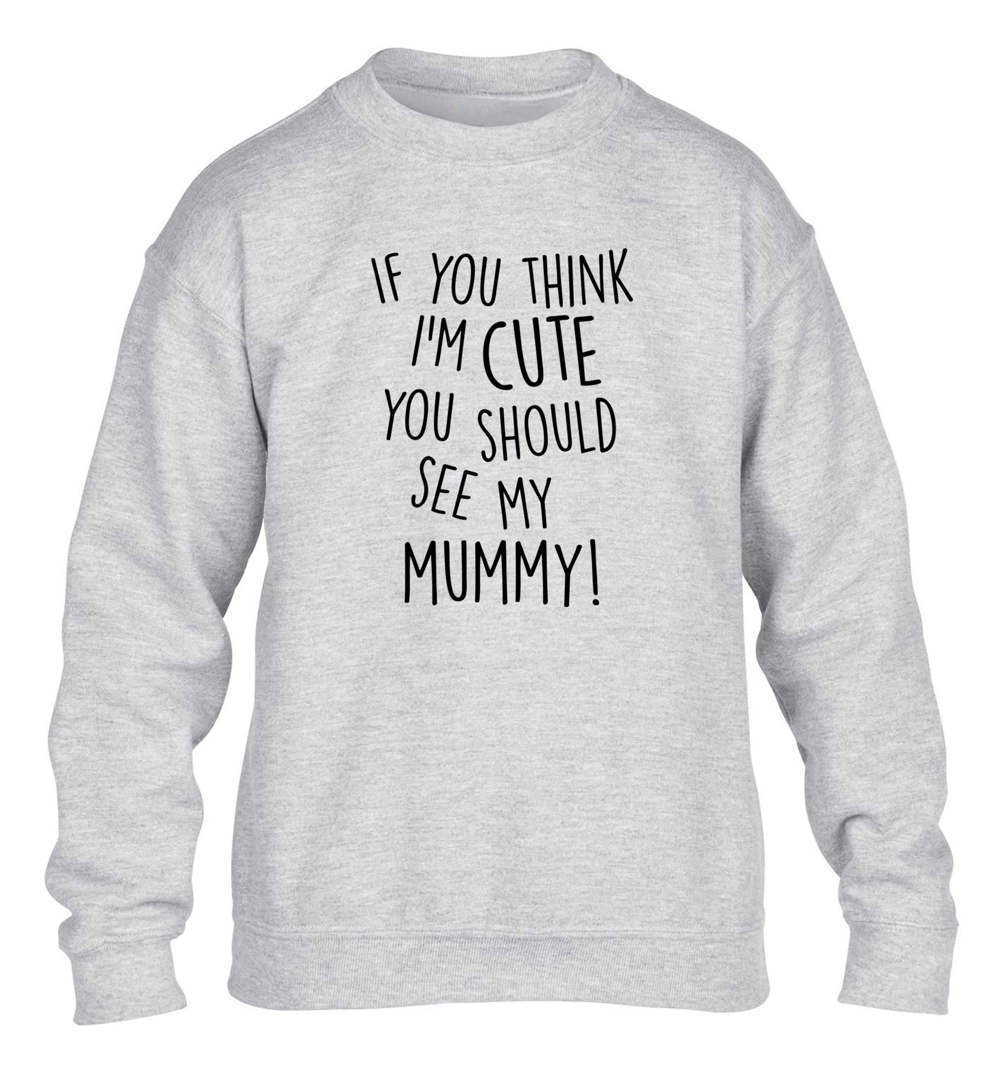 If you think I'm cute you should see my mummy children's grey sweater 12-13 Years