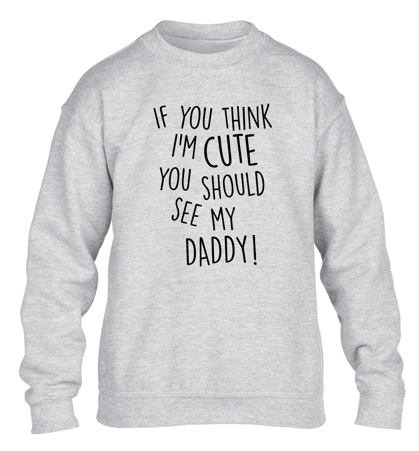 If you think I'm cute you should see my daddy children's grey sweater 12-14 Years