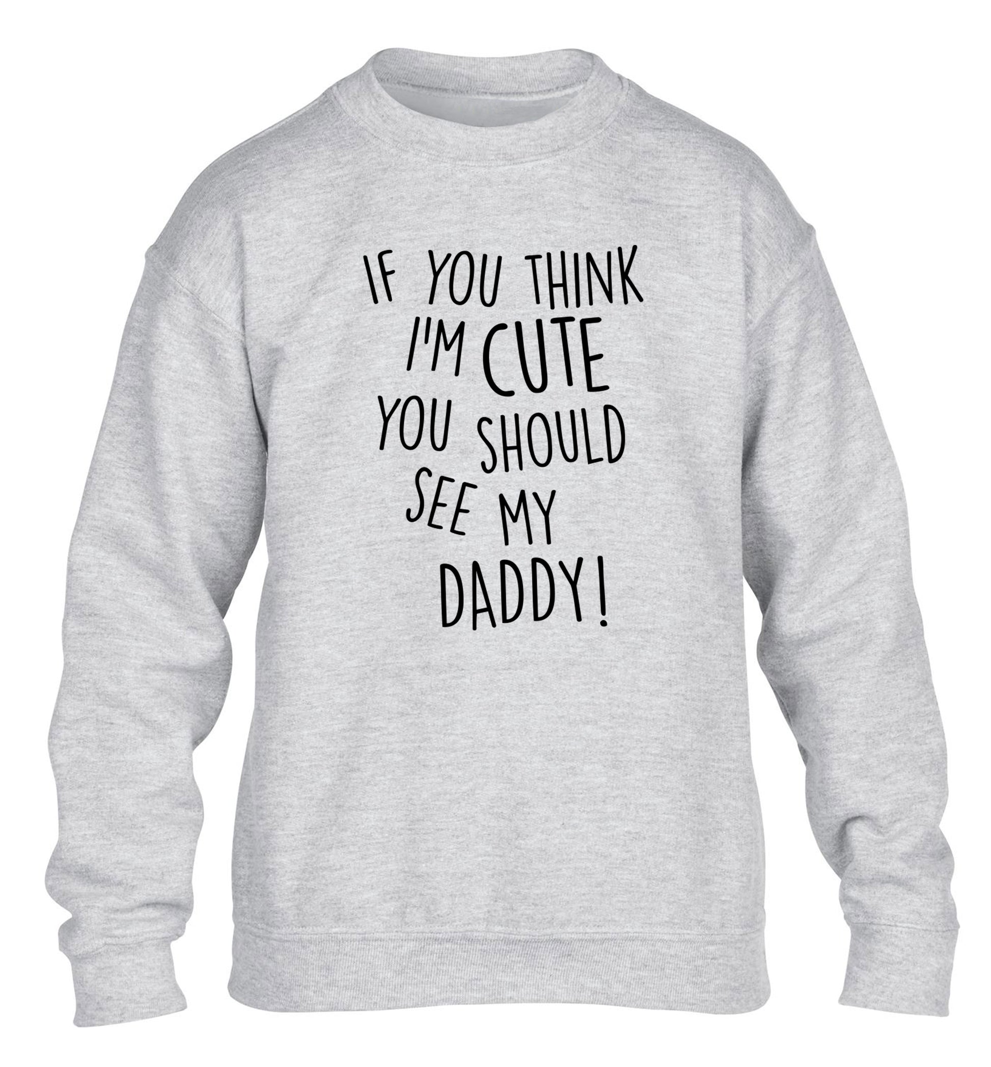 If you think I'm cute you should see my daddy children's grey sweater 12-14 Years