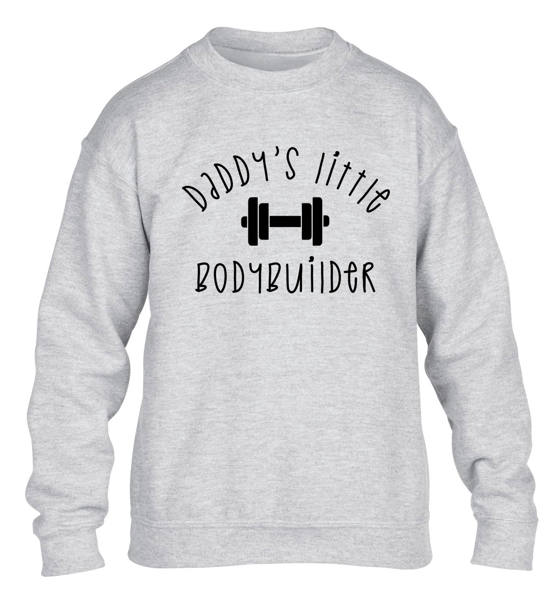 Daddy's little bodybuilder children's grey sweater 12-14 Years