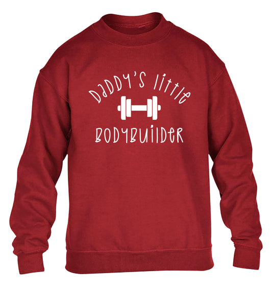 Daddy's little bodybuilder children's grey sweater 12-14 Years
