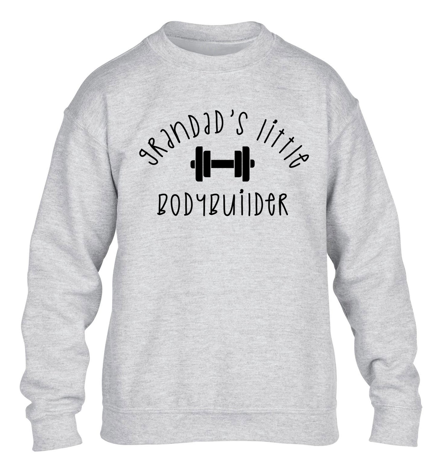 Grandad's little bodybuilder children's grey sweater 12-14 Years