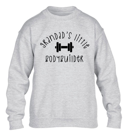 Grandad's little bodybuilder children's grey sweater 12-14 Years