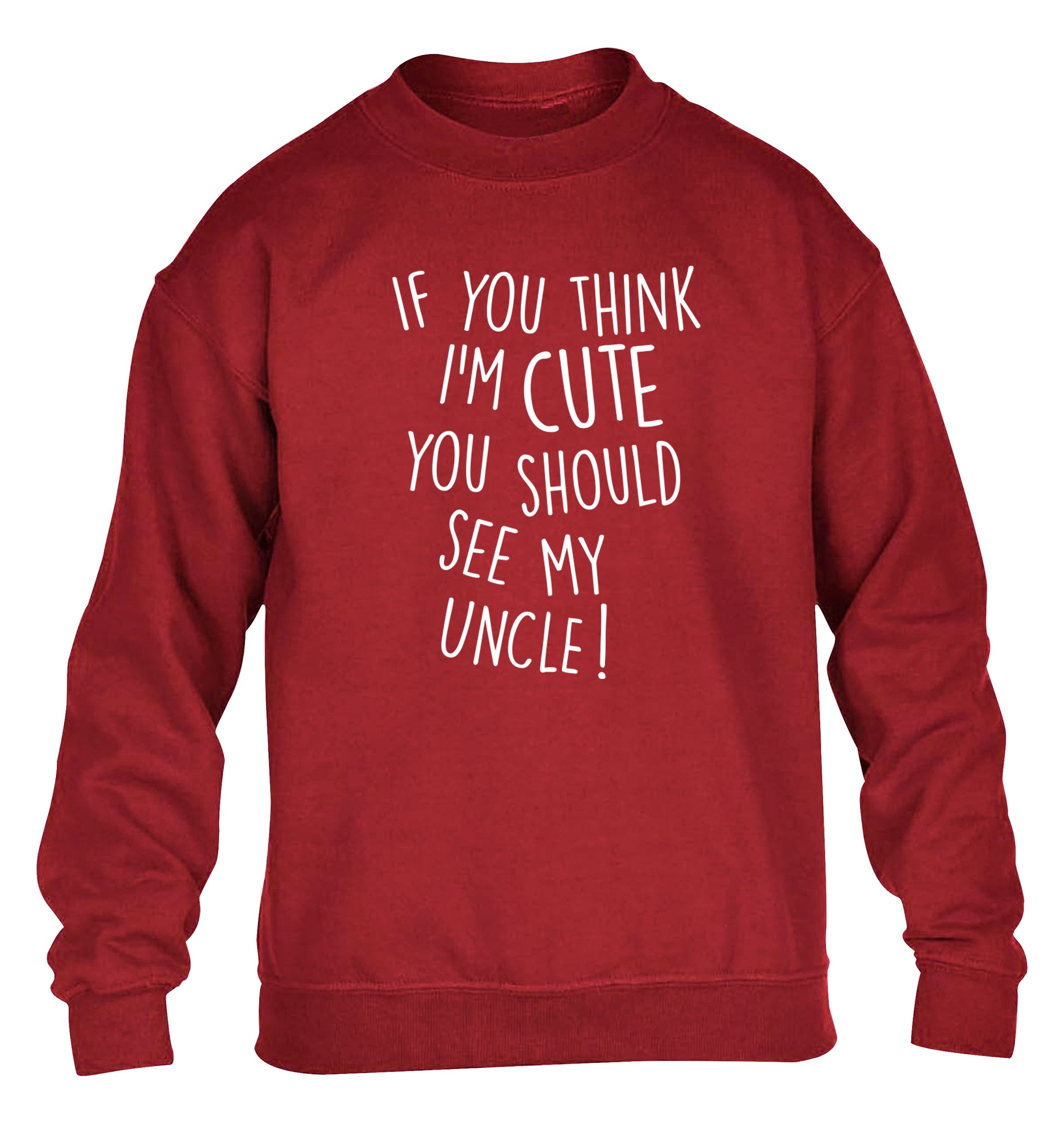 If you think I'm cute you should see my uncle children's grey sweater 12-14 Years