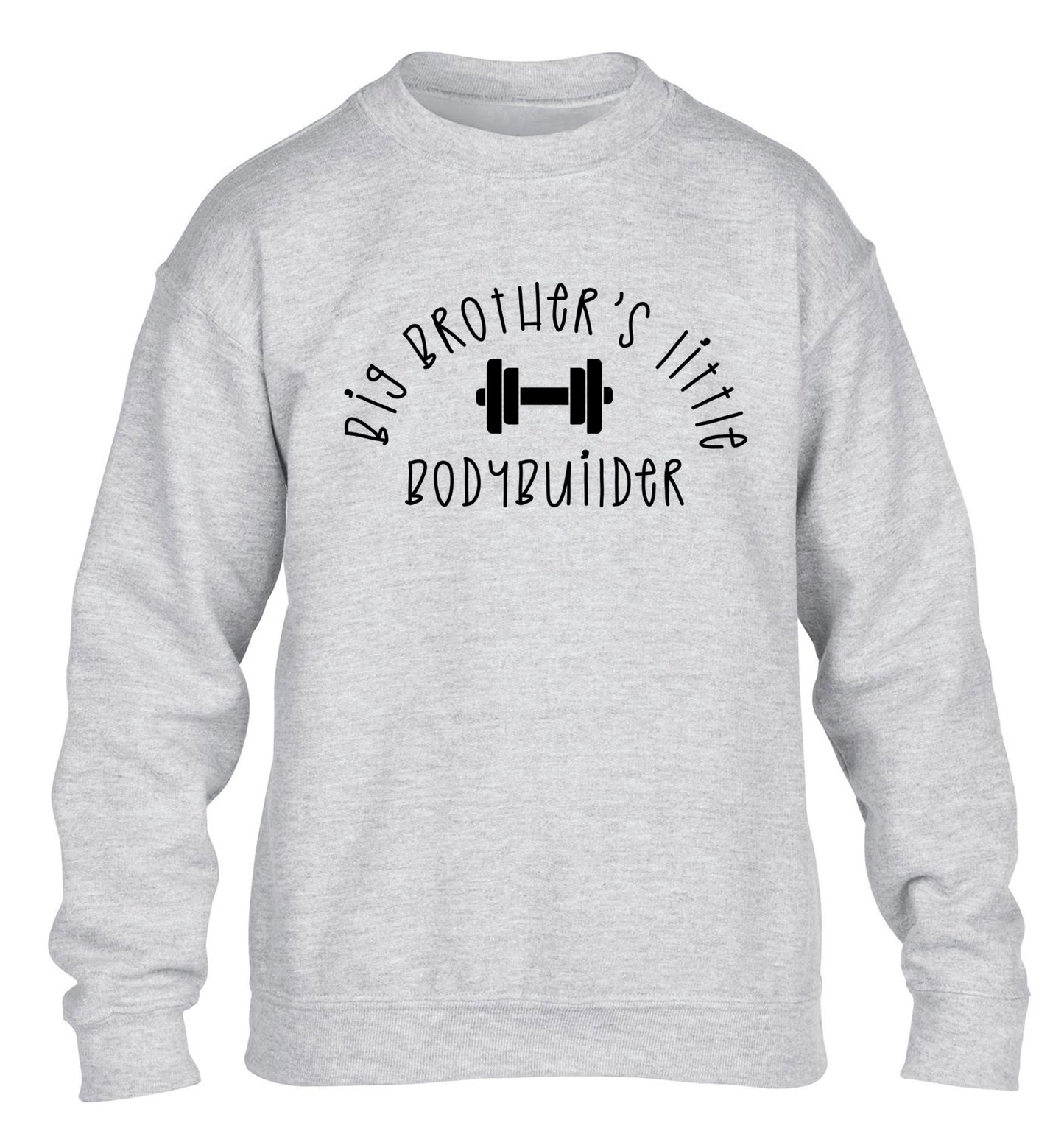 Big brother's little bodybuilder children's grey sweater 12-14 Years