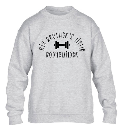Big brother's little bodybuilder children's grey sweater 12-14 Years