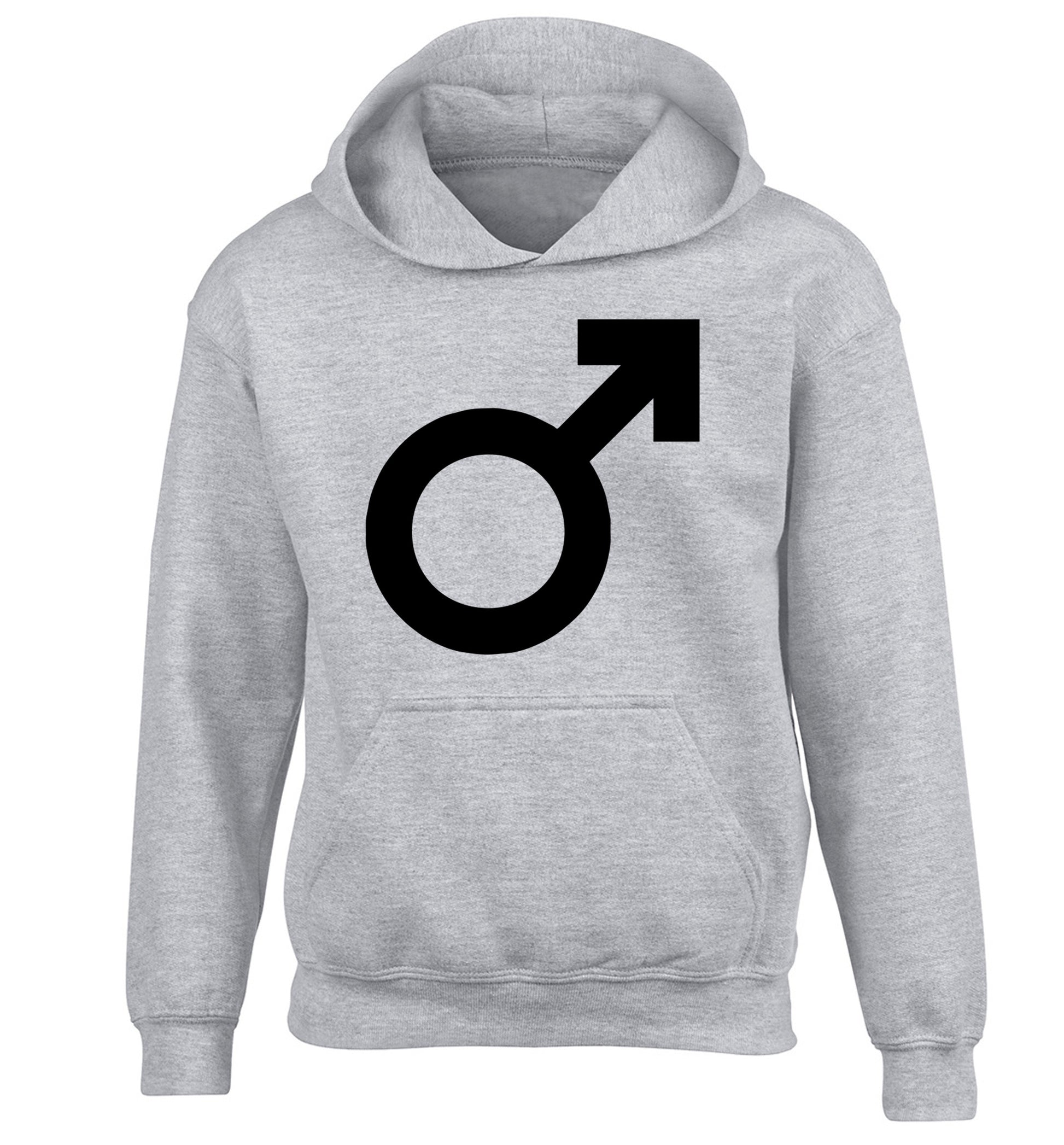 Male symbol large children's grey hoodie 12-14 Years