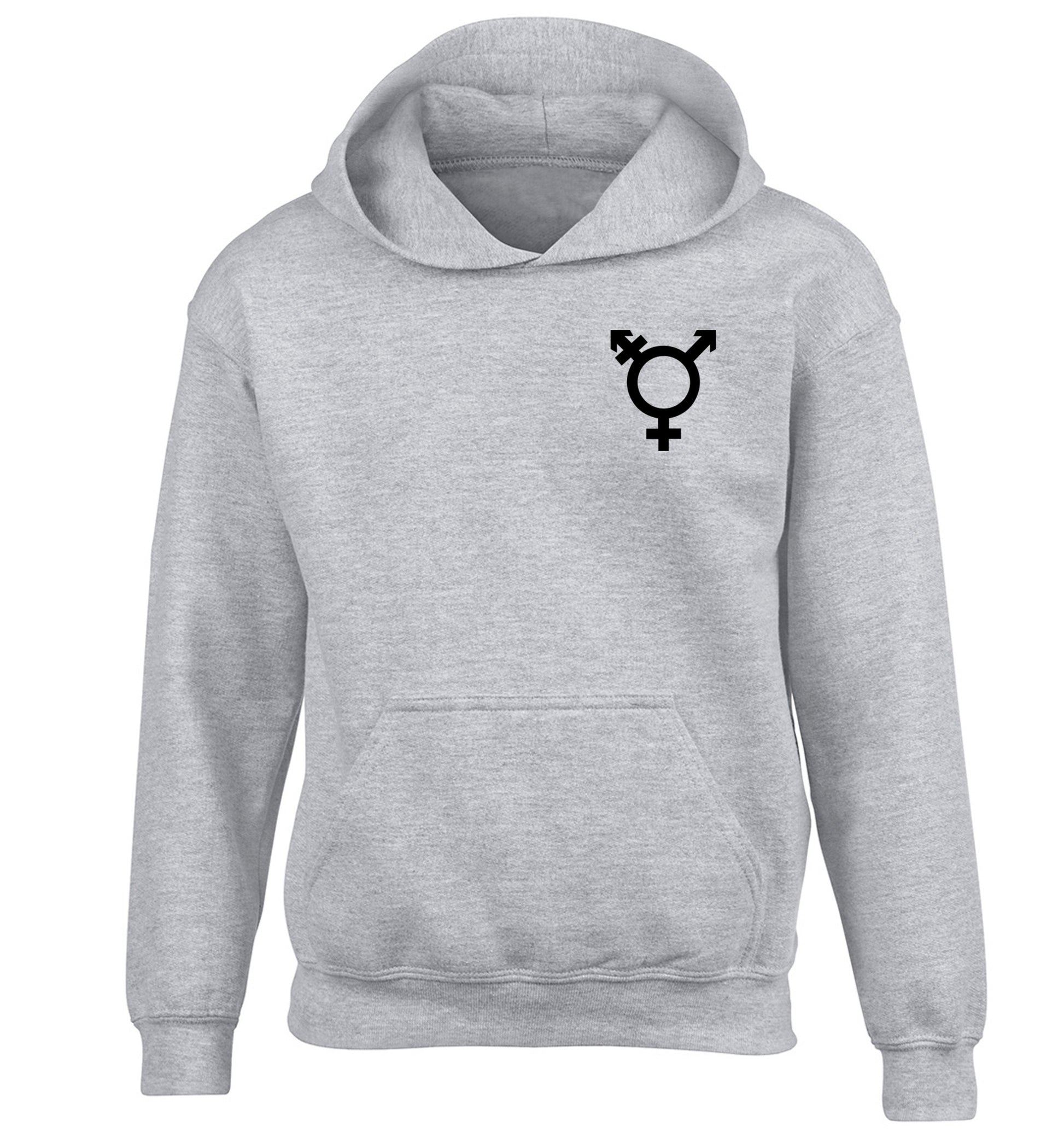 Trans gender symbol pocket children's grey hoodie 12-14 Years