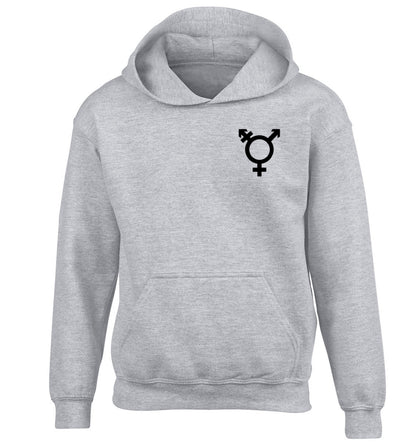 Trans gender symbol pocket children's grey hoodie 12-14 Years