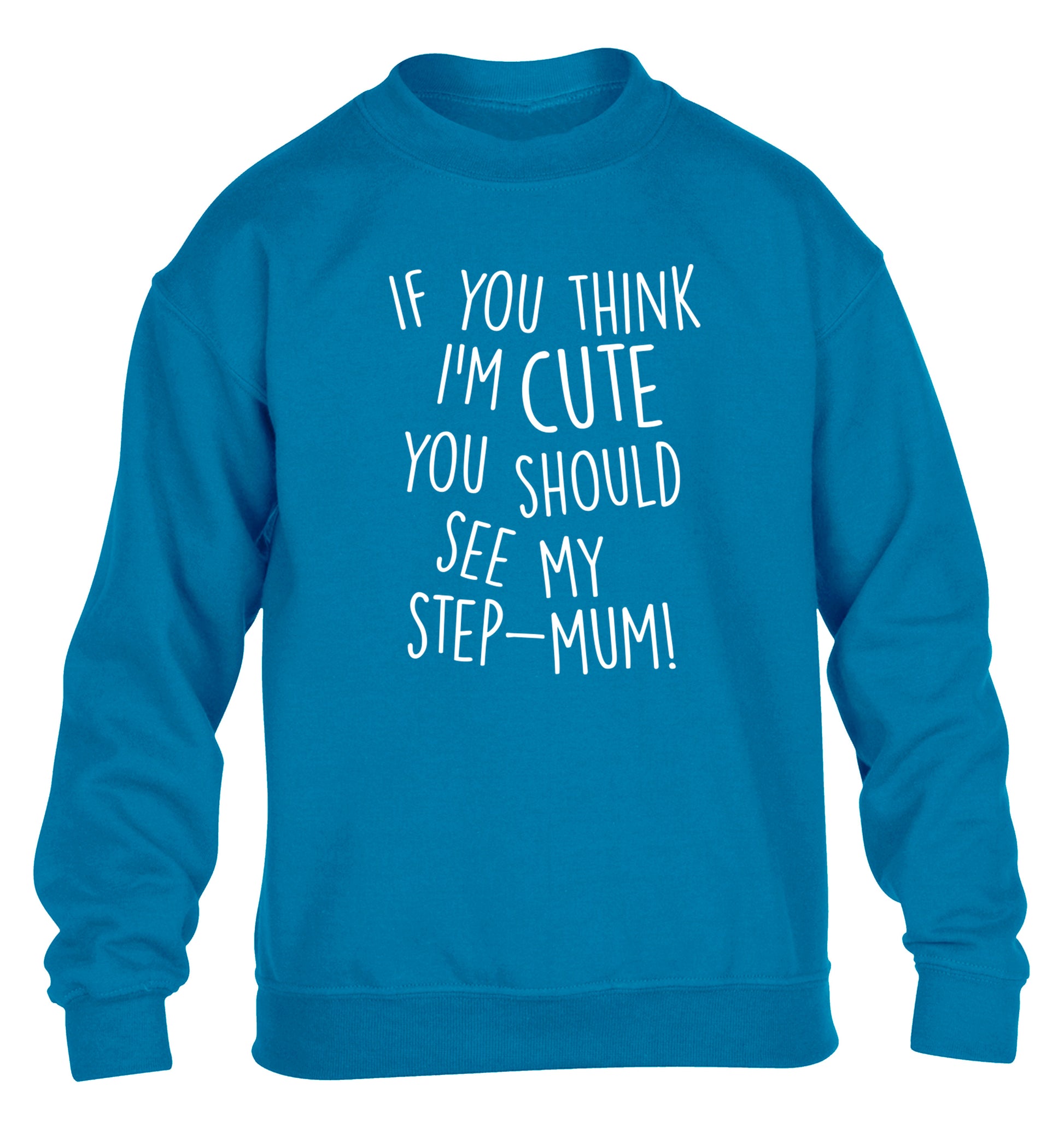 If you think I'm cute you should see my step-mum children's blue sweater 12-13 Years