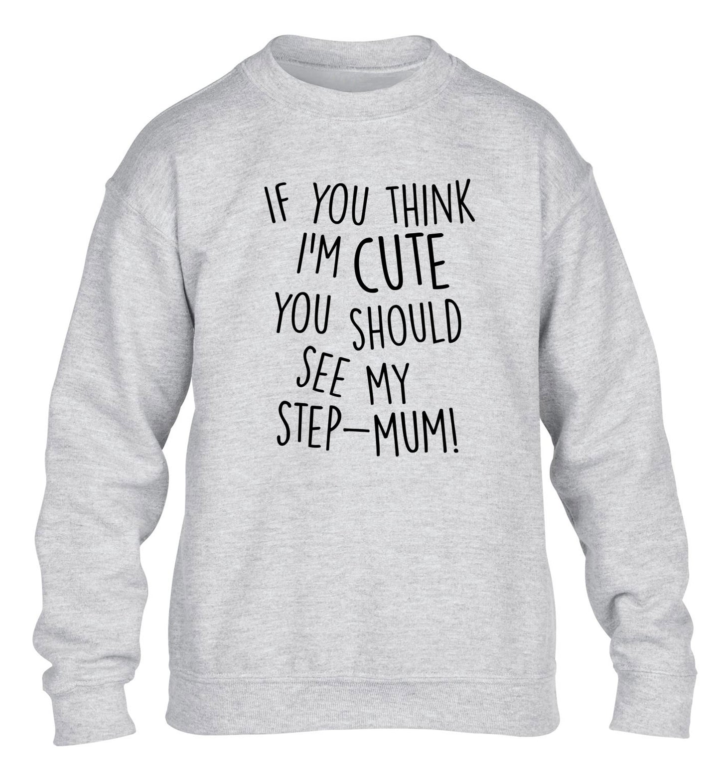 If you think I'm cute you should see my step-mum children's grey sweater 12-13 Years