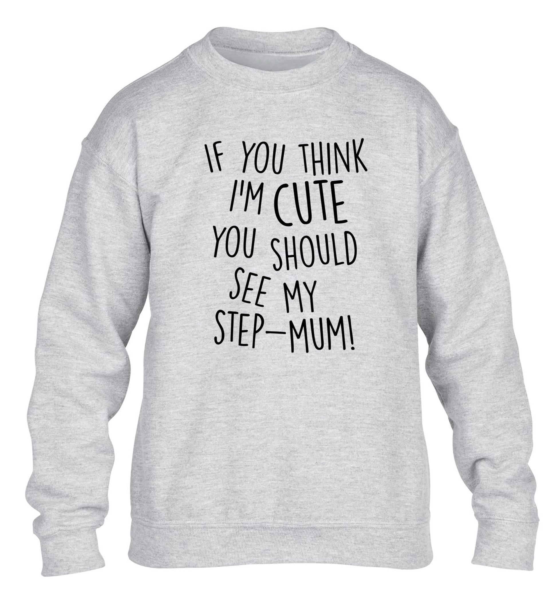 If you think I'm cute you should see my step-mum children's grey sweater 12-13 Years